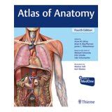 Atlas Anatomy Porn Videos 